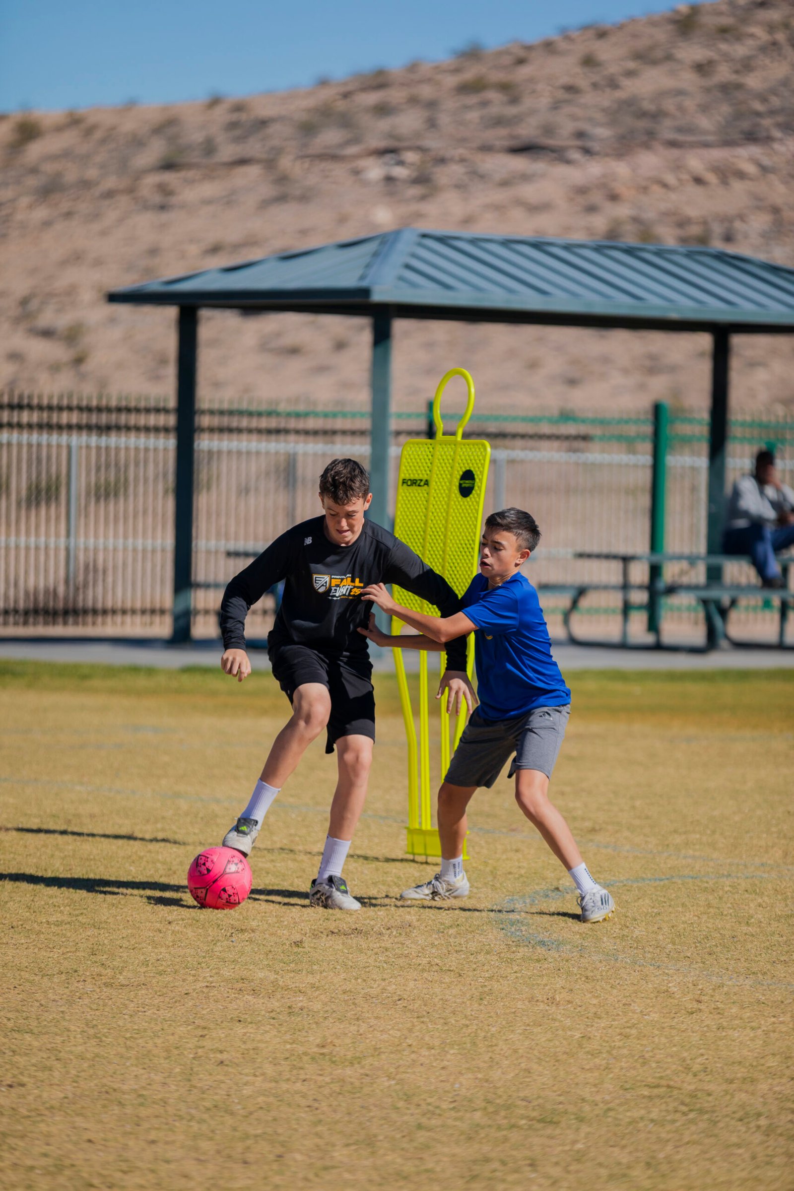 Player Development